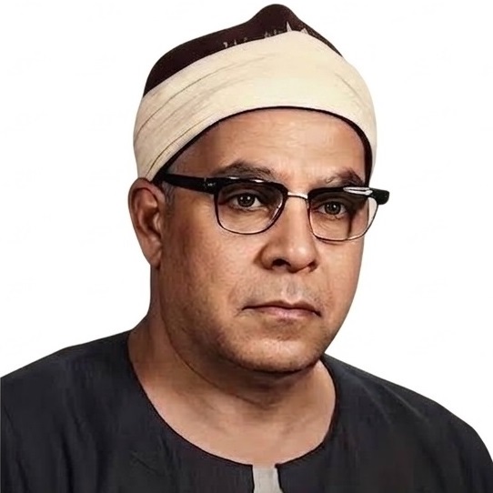 محمود عبد الحكم